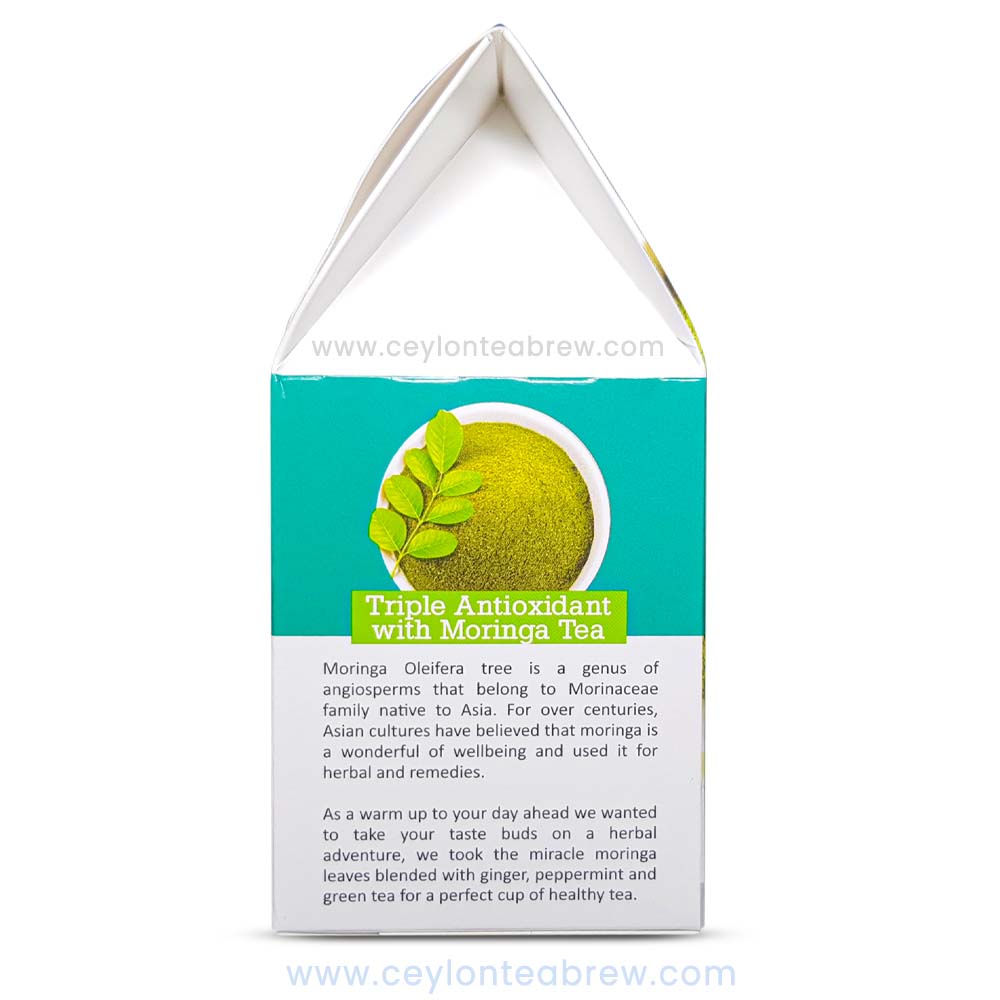 Moringa Premium herbal infusion drink antioxidant tea