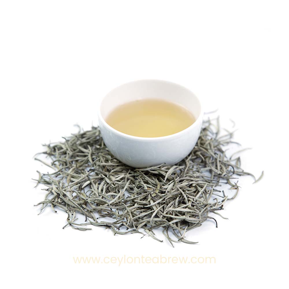 Sei White Tea Tea by Teamonk Global — Steepster